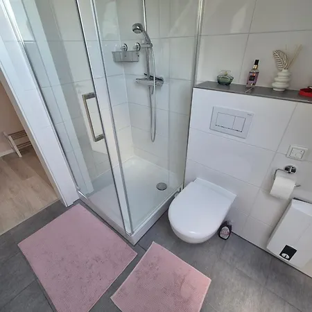 Homburgs Schoene Aussicht لونه